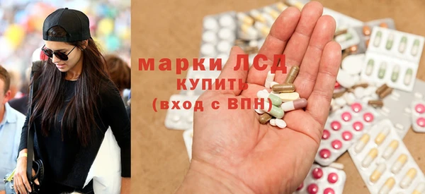 шишки Гусев