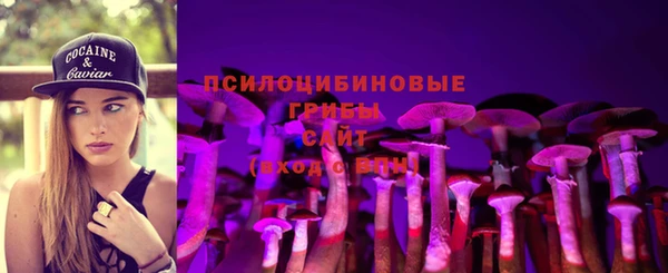 шишки Гусев
