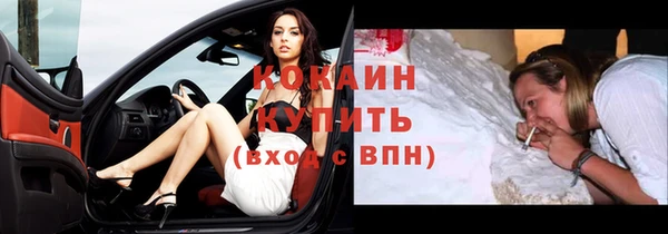 шишки Гусев