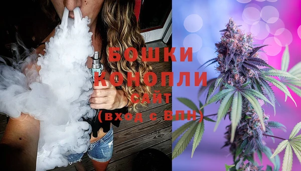 шишки Гусев
