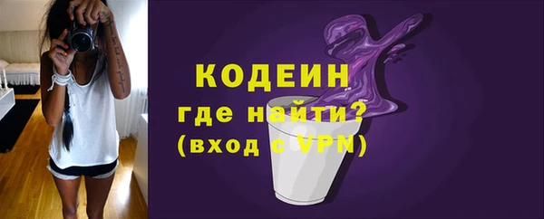 шишки Гусев