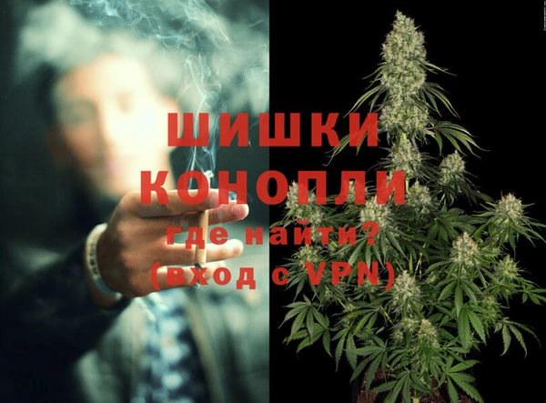 шишки Гусев