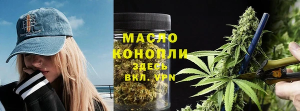 шишки Гусев