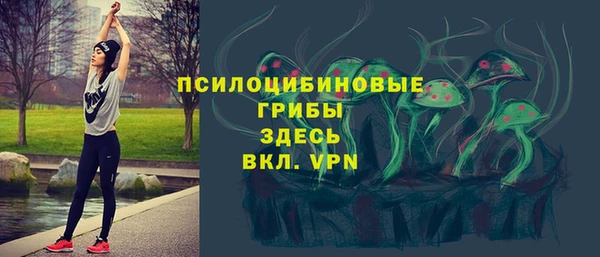 прущие крисы Гусиноозёрск