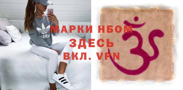 шишки Гусев