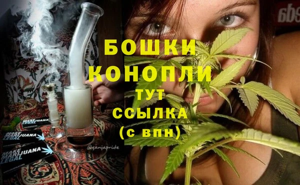 прущие крисы Гусиноозёрск