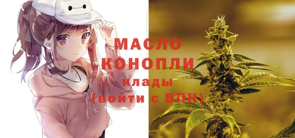 шишки Гусев