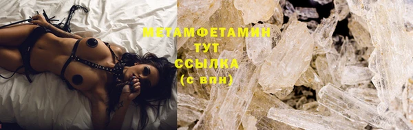 шишки Гусев